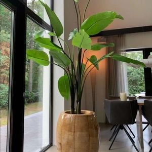 Meet your Posher, Jenan